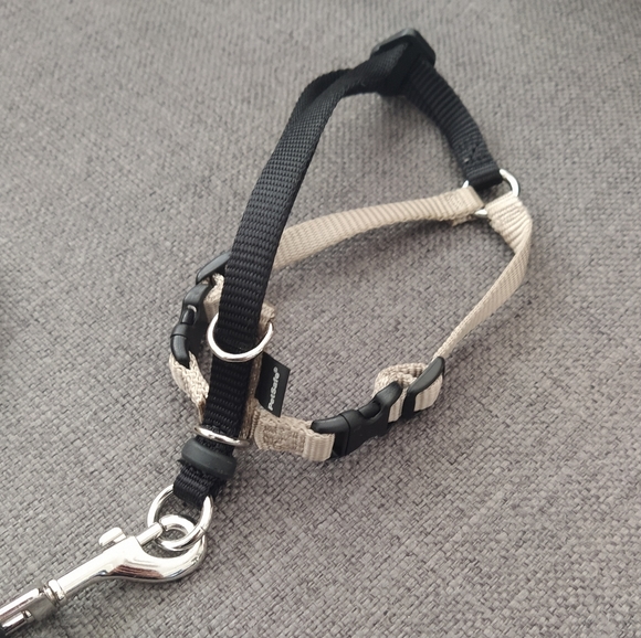 Harness & bungee leash set - Size small - Picture 2 of 6